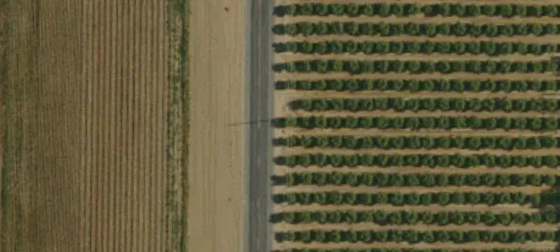 Agricultural Land with Private Well
