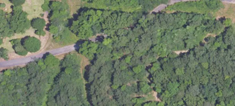 Vacant Land / Lots