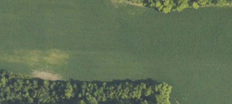 Two-Acre Land Parcel
