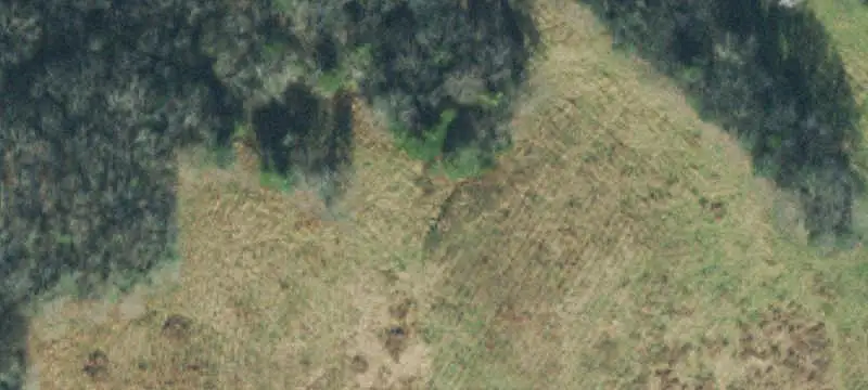 Farm