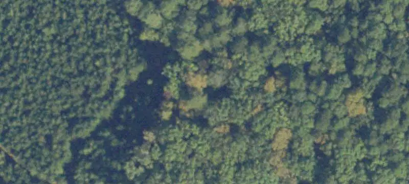 Waterfront Land with Hunting Cabin
