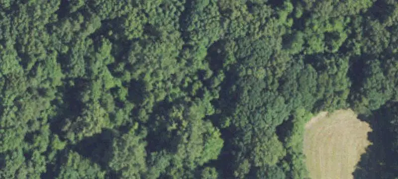 Agricultural Land with Timber