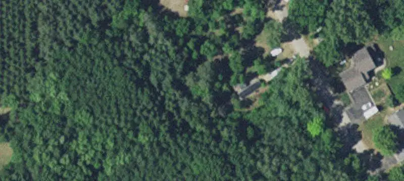 Wooded Land with Pole Building