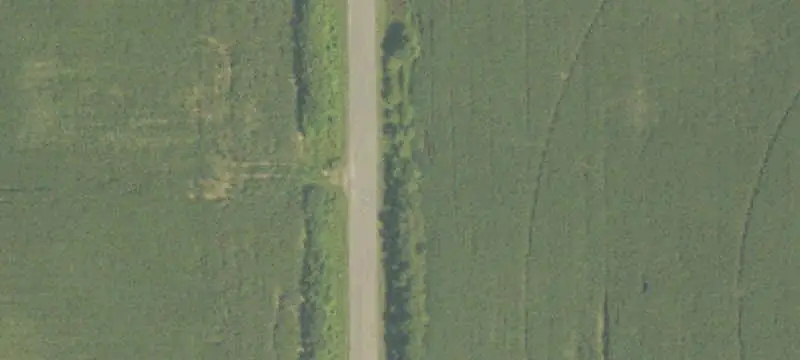 Tillable Farmland with Recreational Woods