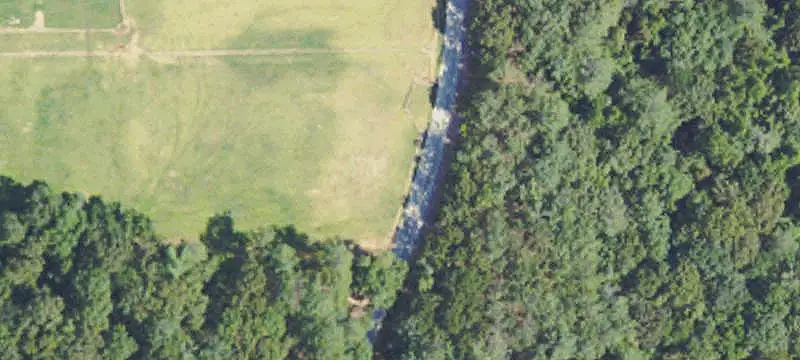Wooded Hunting Land with Cabin