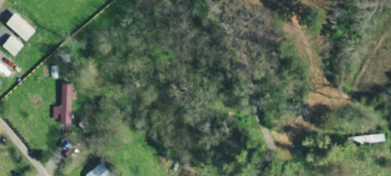 Wooded Land Parcel