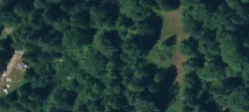 Commercial Land Along WA-121