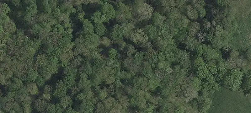 Land