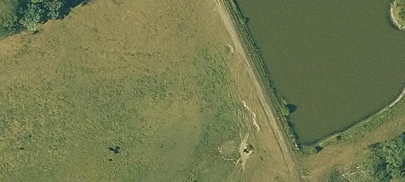 Whitetail Hunting Land