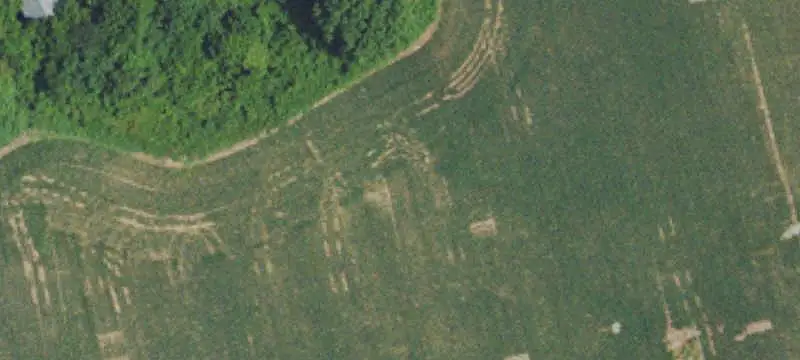 Farm Land with Creek Frontage