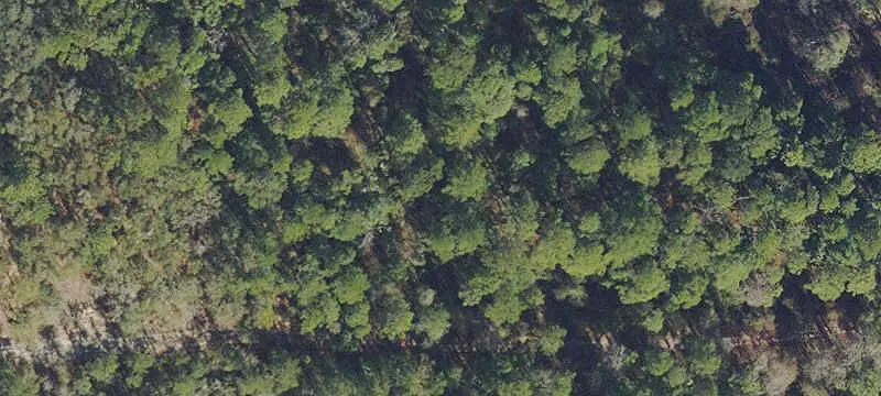 Vacant Land / Lots