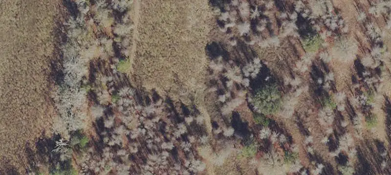 Aviation Property with Dual Runways