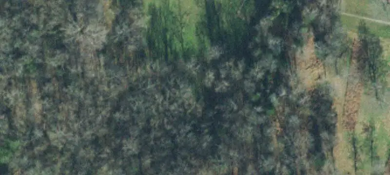 Farm with Equestrian Facilities