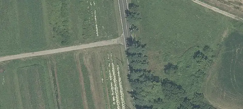 Cut-Flower Farm with Greenhouses
