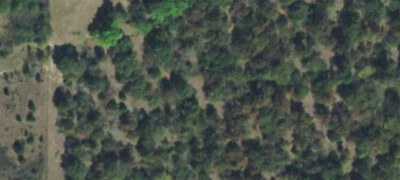 Agricultural Land with Greenhouses