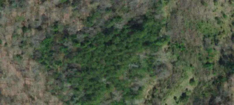 Land