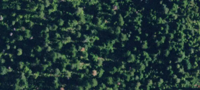 Land/Property