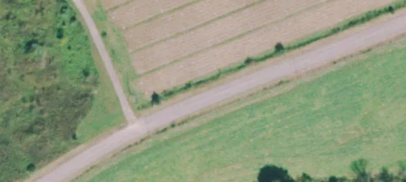 Farm with Poultry Houses
