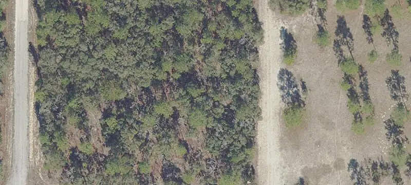 Commercial Land