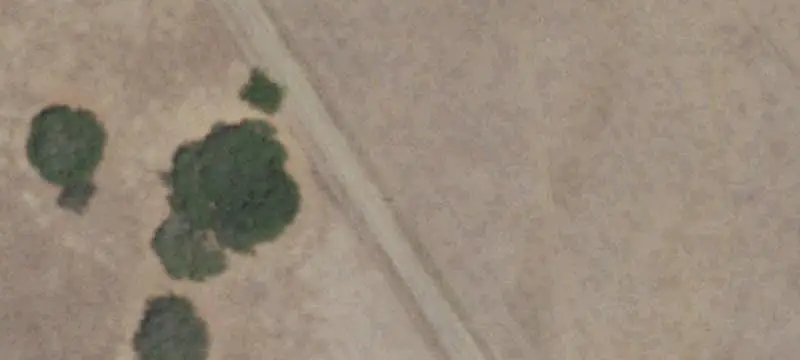 Agricultural Land with Wildlife