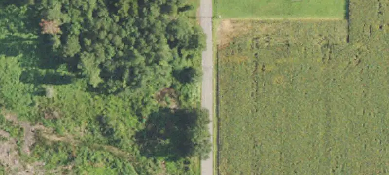 Farmland with Hardwood Timber