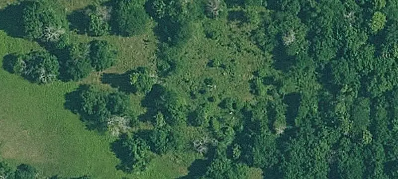 201-Acre Farm with Creek Frontage