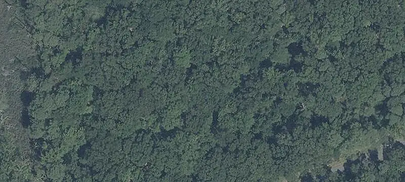 Unimproved Land