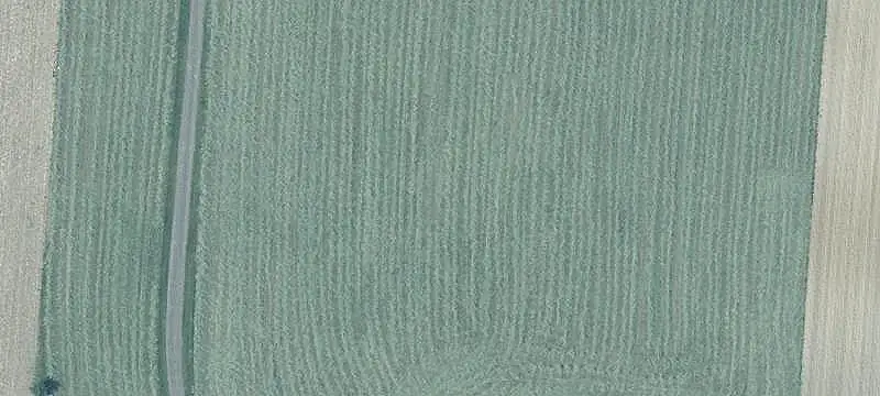 Farmland with Drainage Tiling