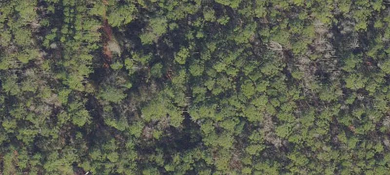 Land/Lot