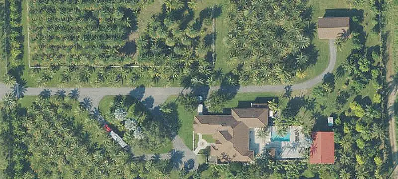 Tropical Fruit Farm with Farmhouse