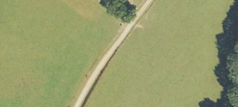 Farm Estate with Pastures