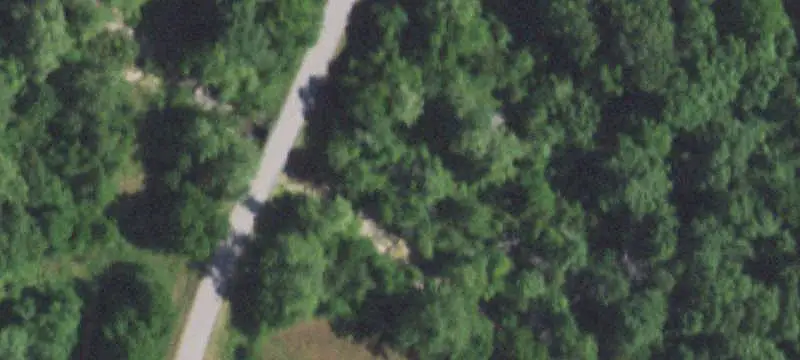 Wooded Hunting Land