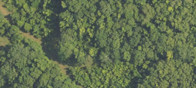 Hunting Land with Hilltop Home