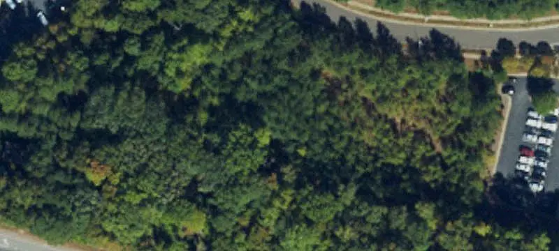 Three-Lot Commercial Land