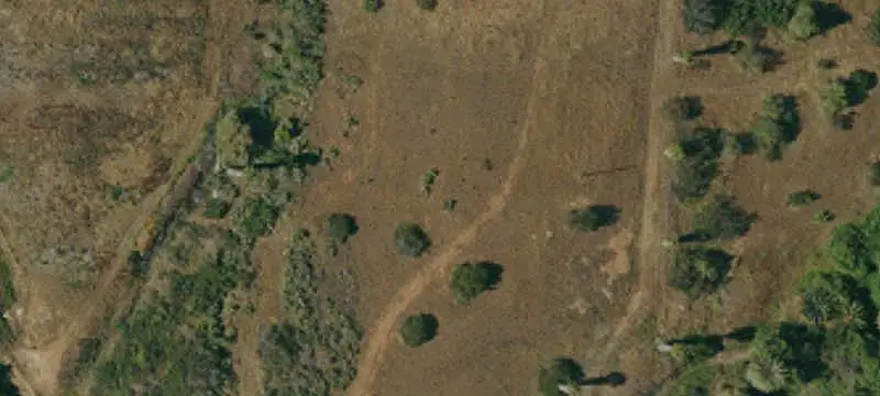 Land