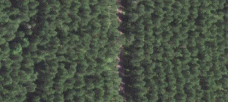 Recreational Land with Sandy Soils