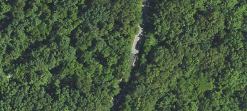 Hunting Land with Cabin