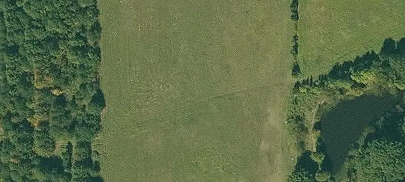 Pastureland with Multiple Building Sites