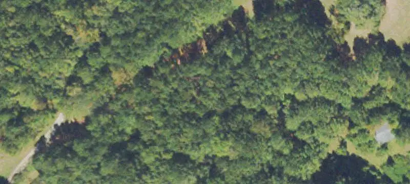 Unimproved Land