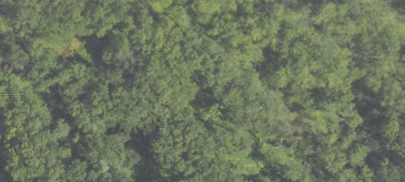 Wooded Waterfront Land