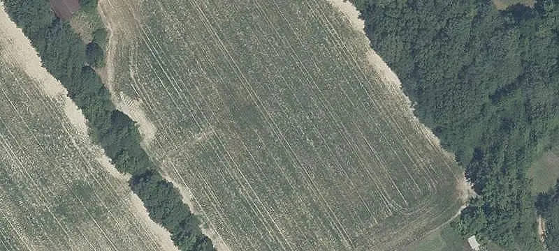 Agricultural Land