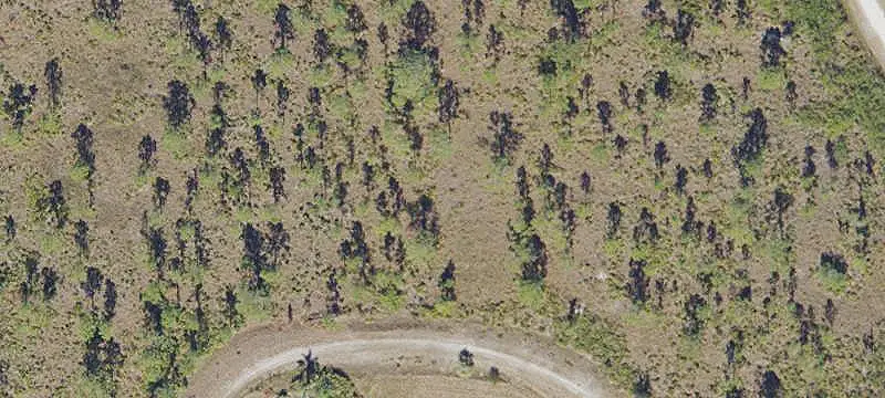 Land