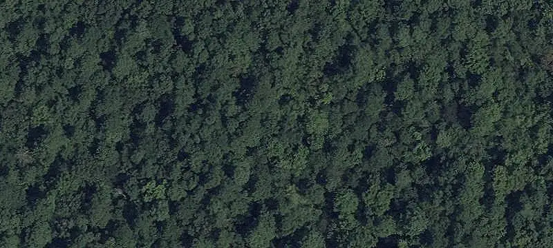 Unimproved Land