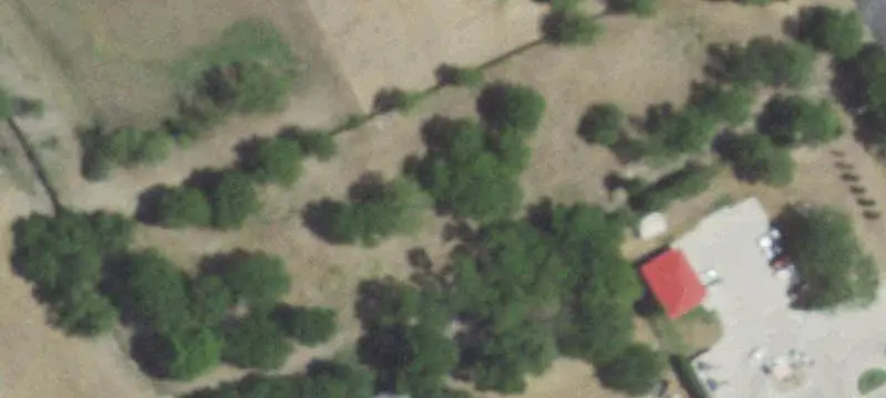 Commercial Land with Mature Trees
