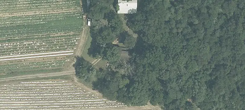 Agricultural Land with Active Farm