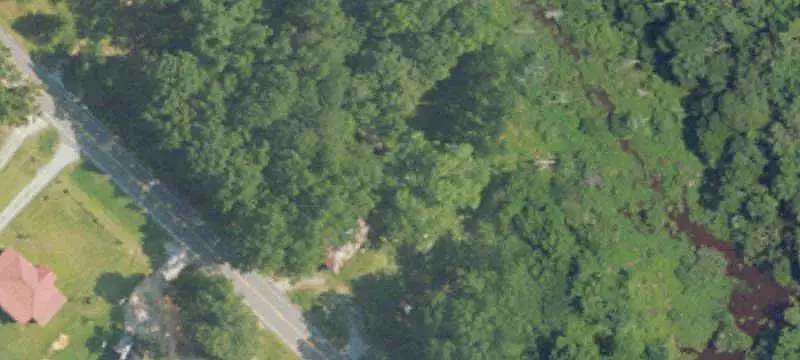 Wooded Hunting Land