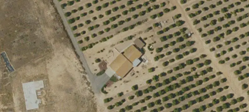 Producing Lemon Farm