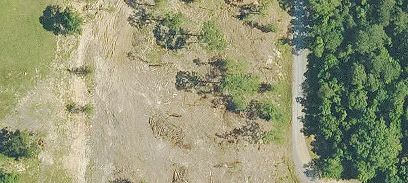 Hunting Land with Pine Plantation
