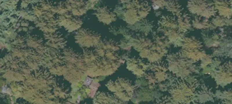 Land or Vacant Lot