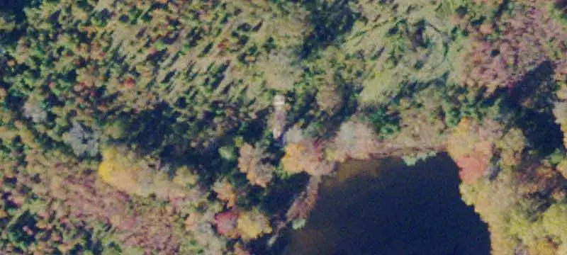 Land with Pond